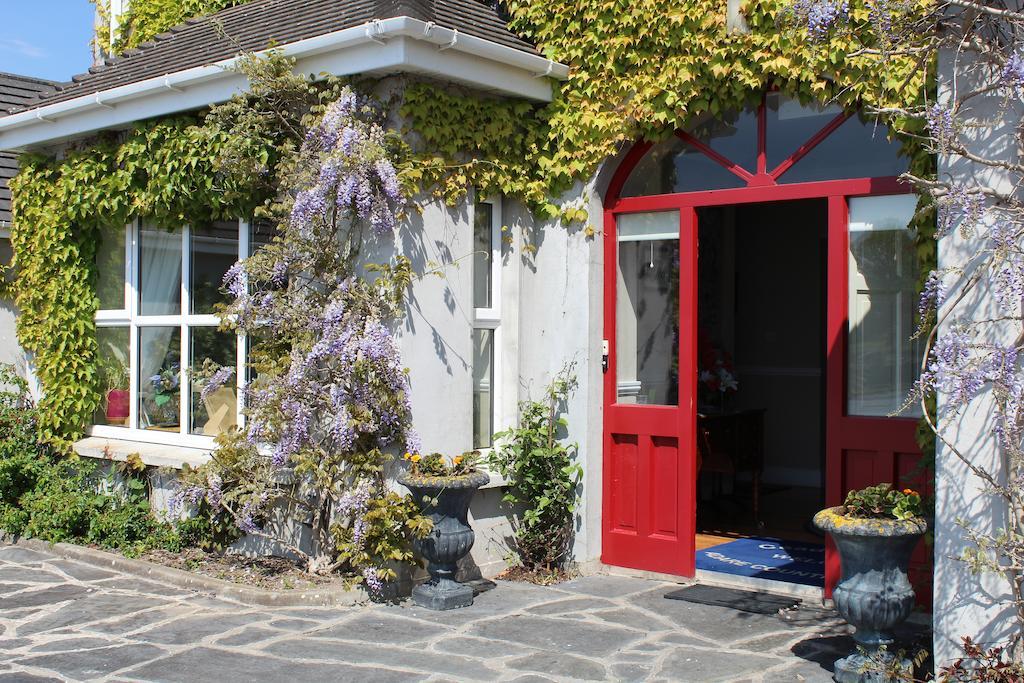 Adare Country House Bagian luar foto